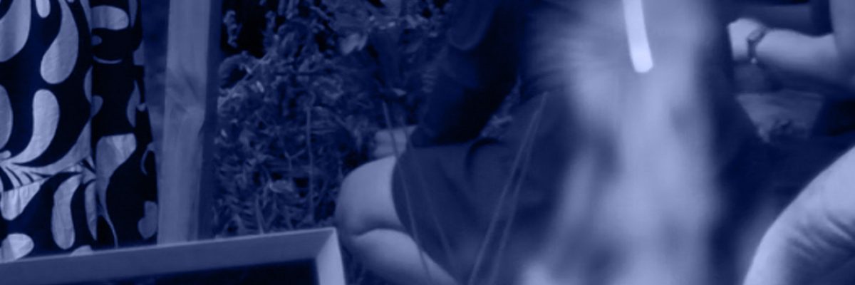 6f0a983e57c75c24fdc8fc2c3